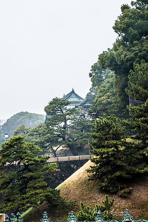 Japan 2025 -33
