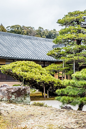 Japan 2025 -170