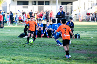 Tigers 2025-17
