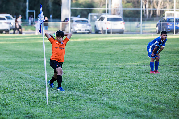 Tigers 2025-16