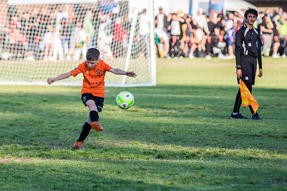 Tigers 2025-19
