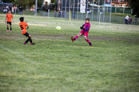 Tigers 2025-15