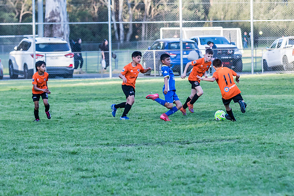 Tigers 2025-27