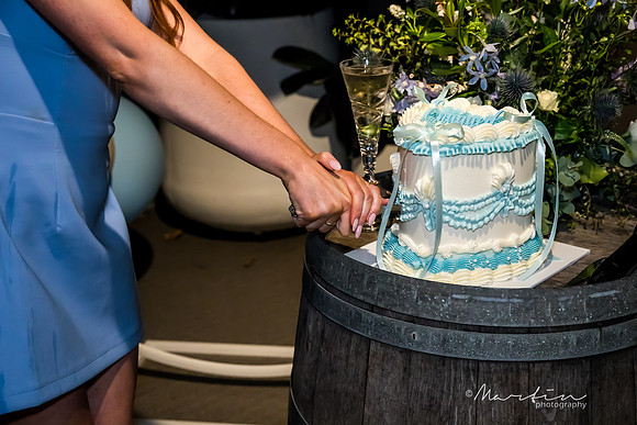 Tahlia & Chips Engagement-96