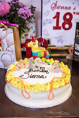 SIENNA'S 18TH-79