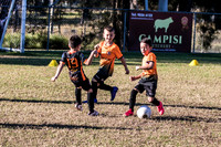 Tigers Under 6's 2026-2