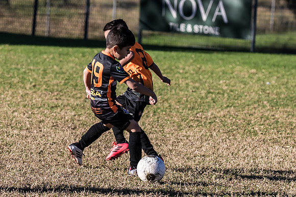 Tigers Under 6's 2026-3