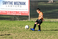 Tigers Under 6's 2026-5