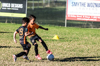 Tigers Under 6's 2026-4