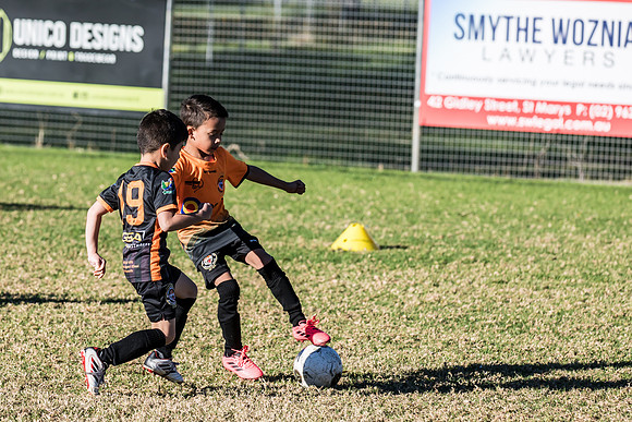 Tigers Under 6's 2026-4