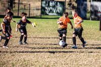Tigers Under 6's 2026-6