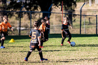 Tigers Under 6's 2026-9