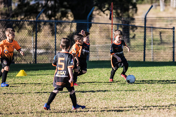 Tigers Under 6's 2026-9