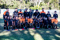 Tigers Under 6's 2026-1