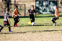 Tigers Under 6's 2026-10