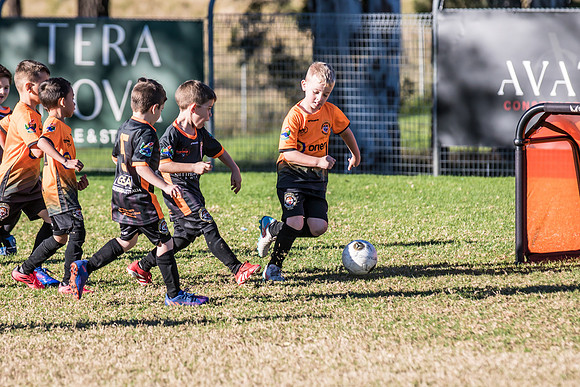 Tigers Under 6's 2026-12