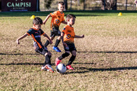 Tigers Under 6's 2026-14