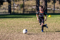 Tigers Under 6's 2026-16