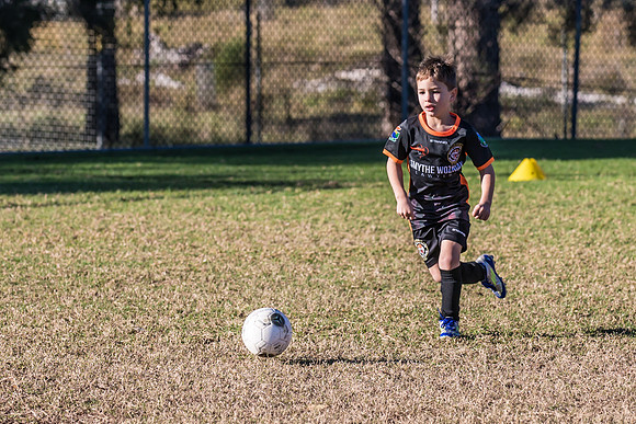 Tigers Under 6's 2026-16