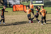 Tigers Under 6's 2026-15