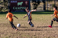 Tigers Under 6's 2026-18