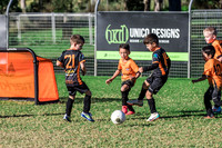 Tigers Under 6's 2026-20
