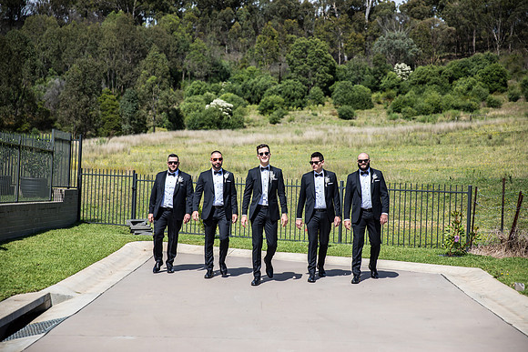 Groom B&T-185