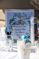 Bree Baby Shower-11