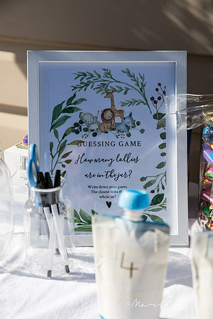 Bree Baby Shower-11
