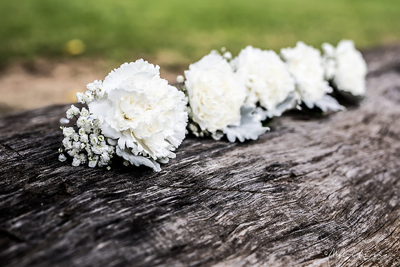 Groom A&A-131
