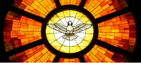 confirmation-dove