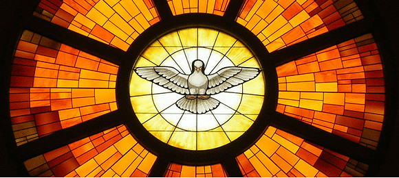 confirmation-dove