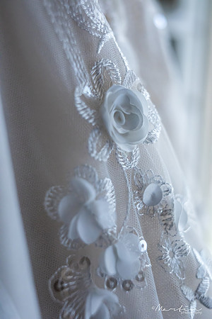 1. Bride E&S-9
