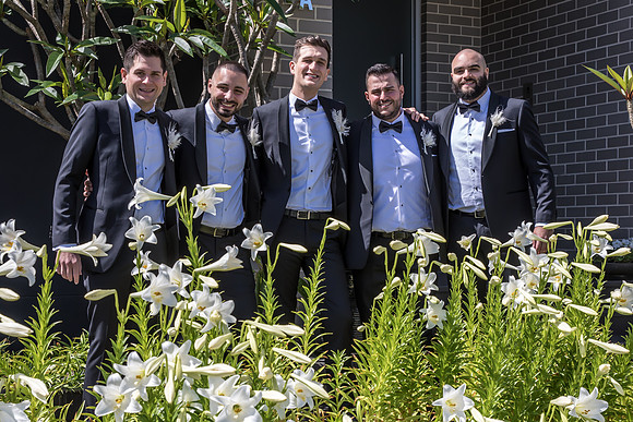 Groom B&T-183
