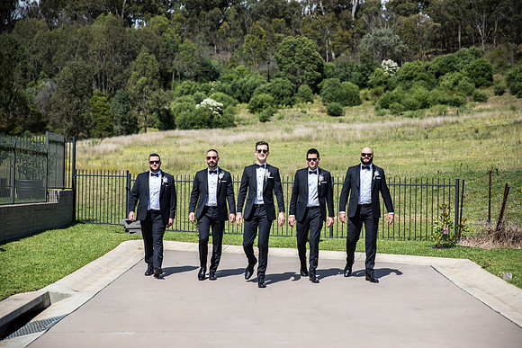 Groom B&T-186