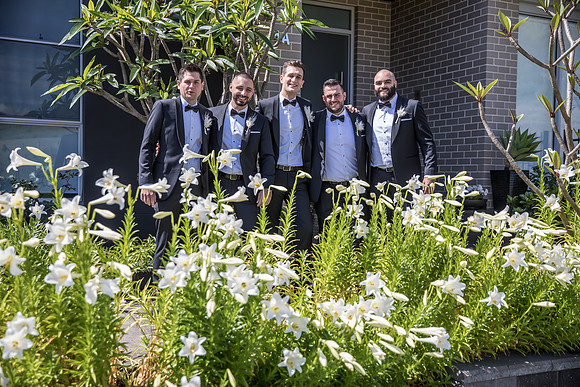 Groom B&T-181