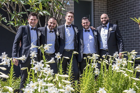 Groom B&T-182