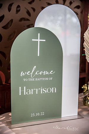 Harrison-255