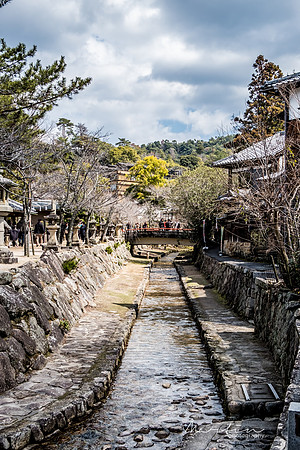 Japan 2025 -301