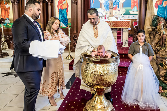 Sofia-203