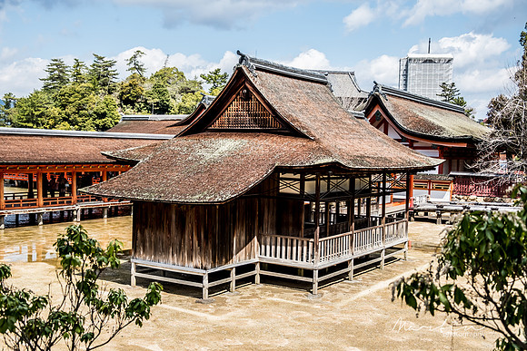 Japan 2025 -302