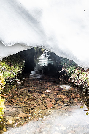 Japan 2025 -131