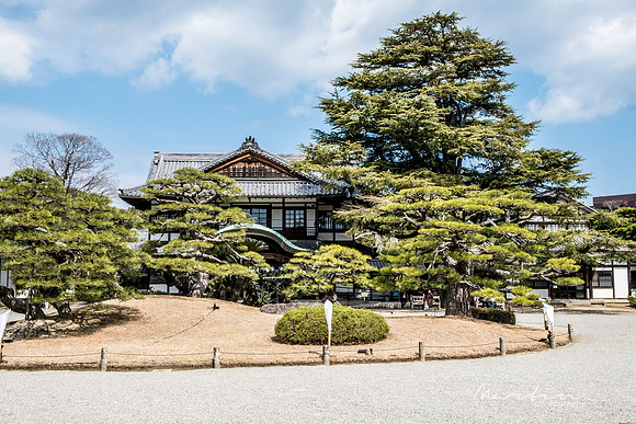 Japan 2025 -351