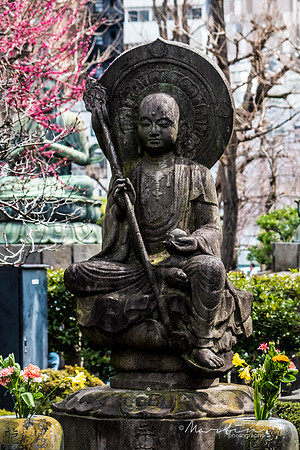 Japan 2025 -58