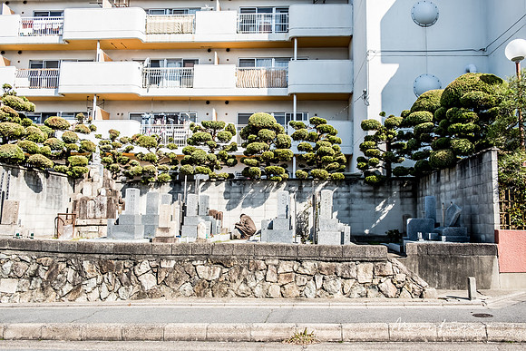 Japan 2025 -265
