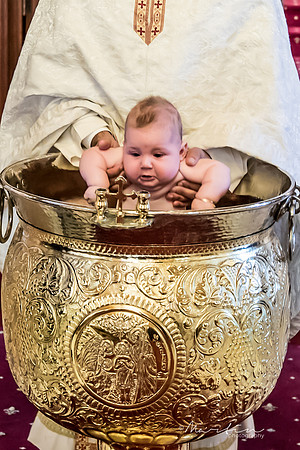 Sofia-204