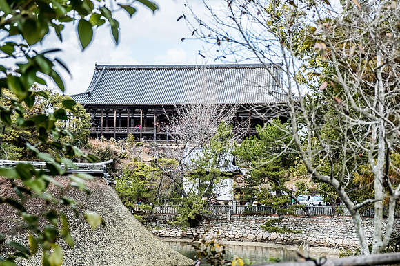 Japan 2025 -306