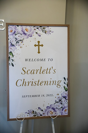 Scarlett-290