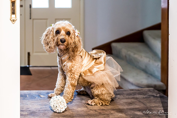 Bride J&G-27