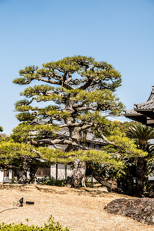 Japan 2025 -331